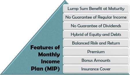 月收入计划的特点（MIP）
