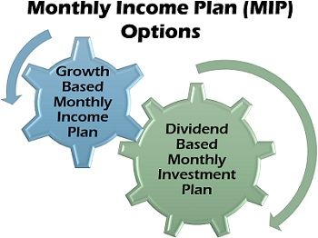 每月收入计划(MIP)选项