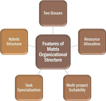 矩阵组织结构的特点