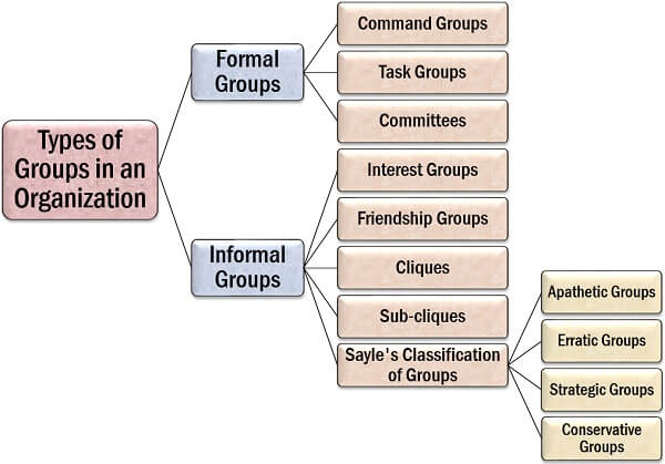 组织中的组类型