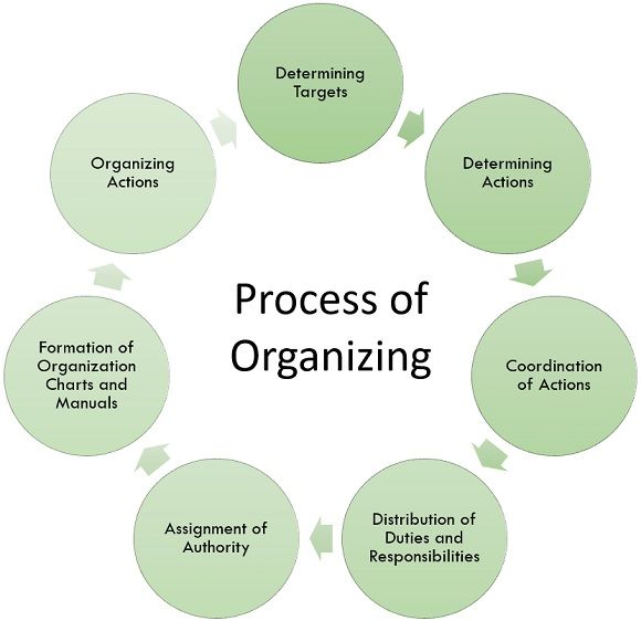 组织过程